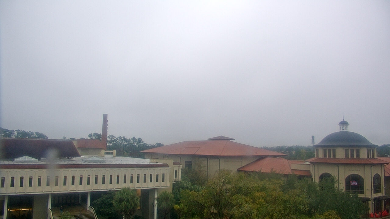 Thumbnail for current weather camera view from Valdosta State University in Valdosta, Georgia