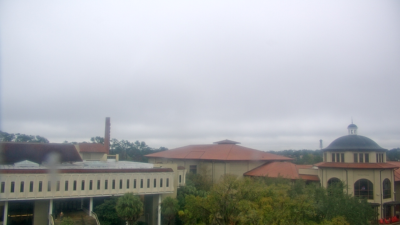 Thumbnail for current weather camera view from Valdosta State University in Valdosta, Georgia