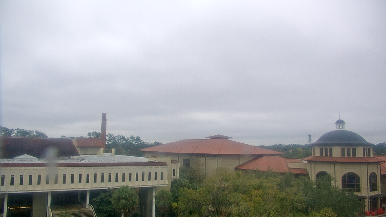 Thumbnail for current weather camera view from Valdosta State University in Valdosta, Georgia