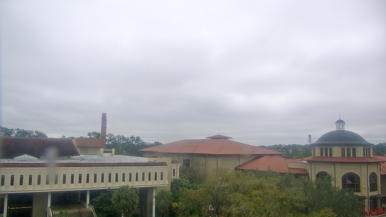 Thumbnail for current weather camera view from Valdosta State University in Valdosta, Georgia