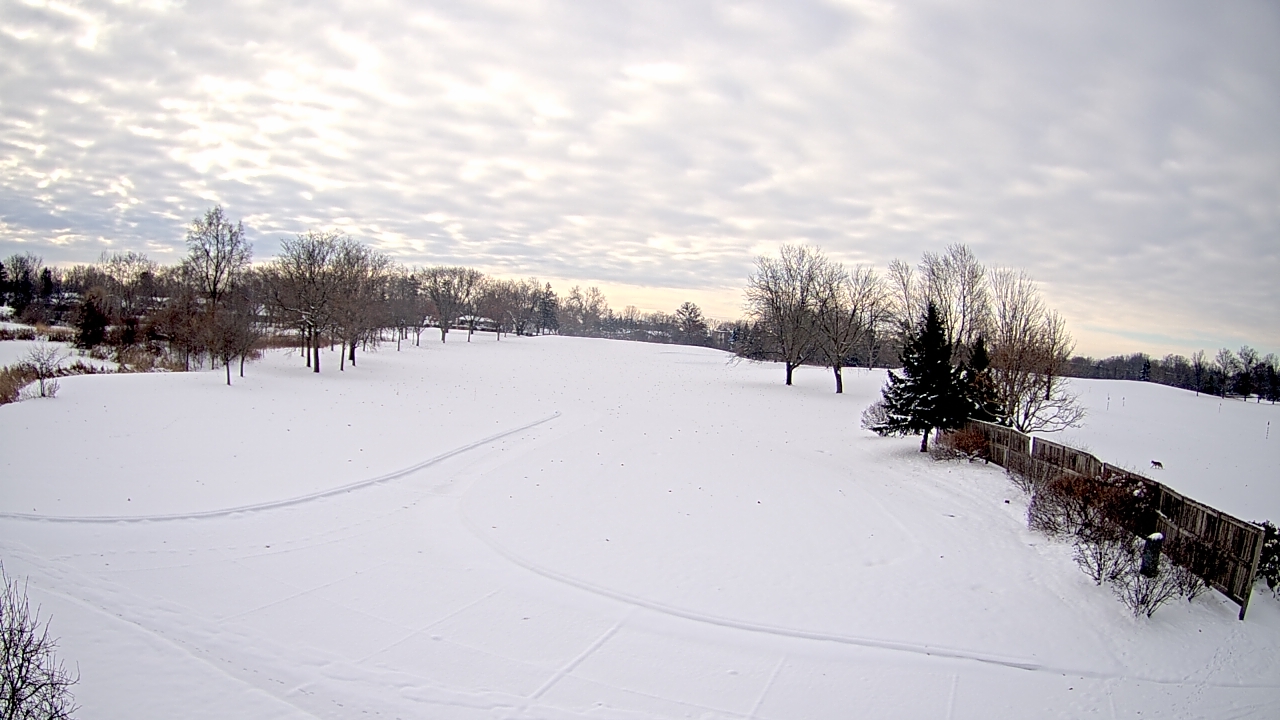 Thumbnail for current weather camera view from Village Links of Glen Ellyn in Glen Ellyn, Illinois