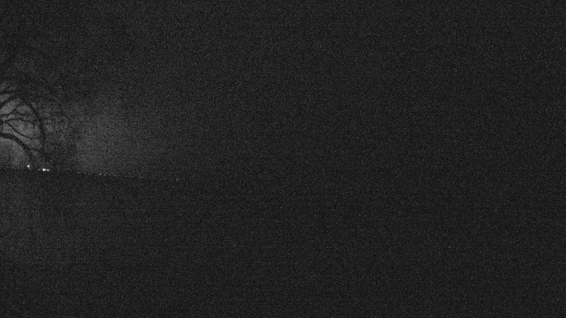Thumbnail for current weather camera view from Forest Lawn Beach in Webster, New York