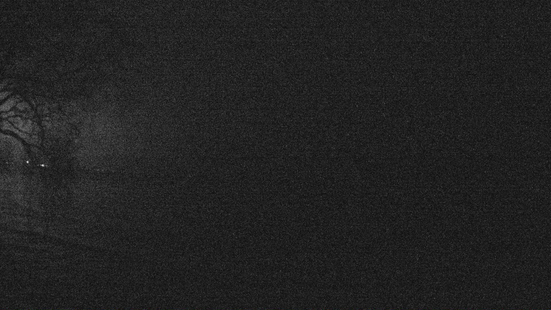 Thumbnail for current weather camera view from Forest Lawn Beach in Webster, New York