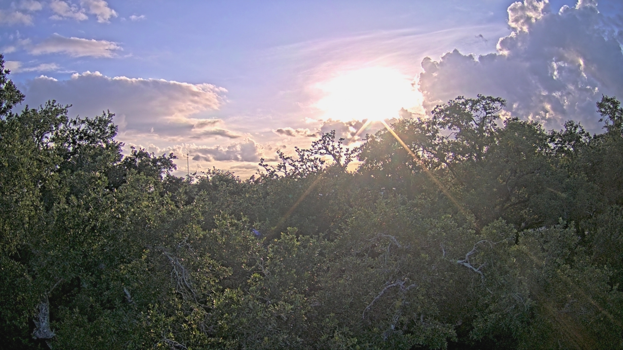 Thumbnail for current weather camera view from Metairie Club Gardens in Metairie, Louisiana