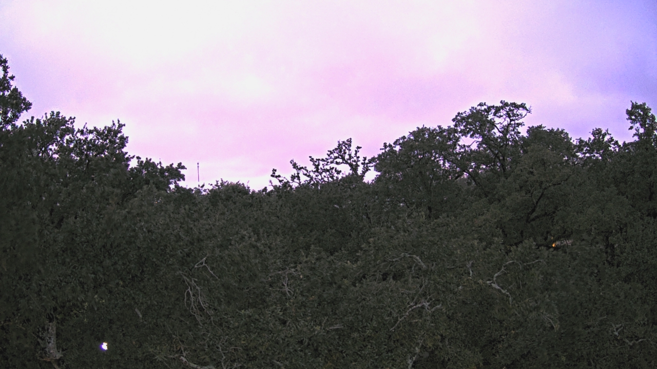 Thumbnail for current weather camera view from Metairie Club Gardens in Metairie, Louisiana