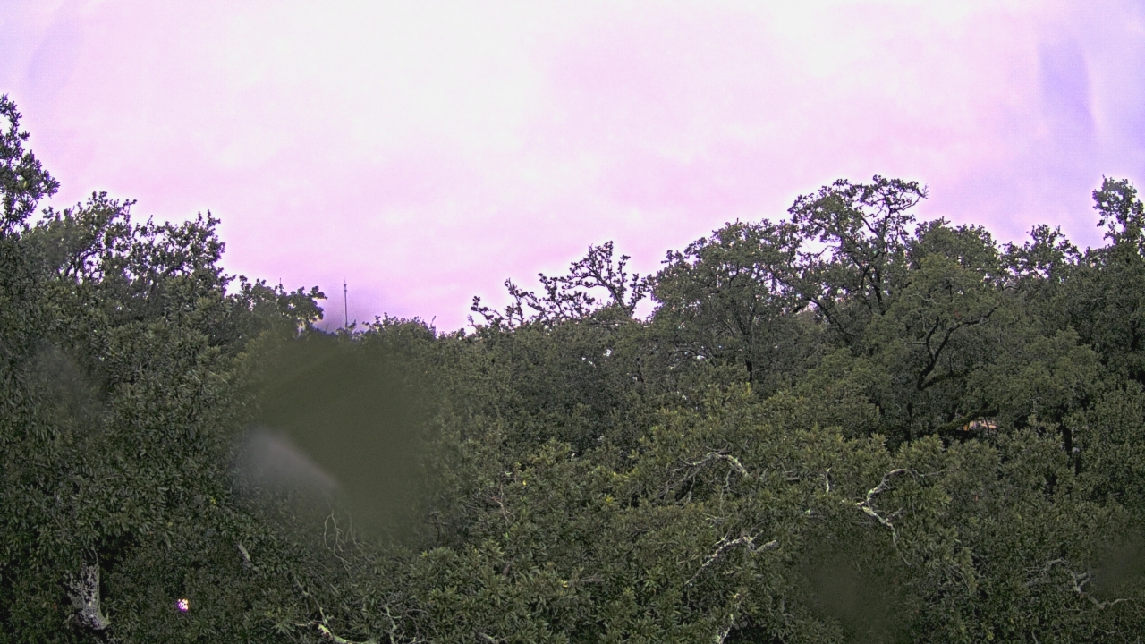 Thumbnail for current weather camera view from Metairie Club Gardens in Metairie, Louisiana