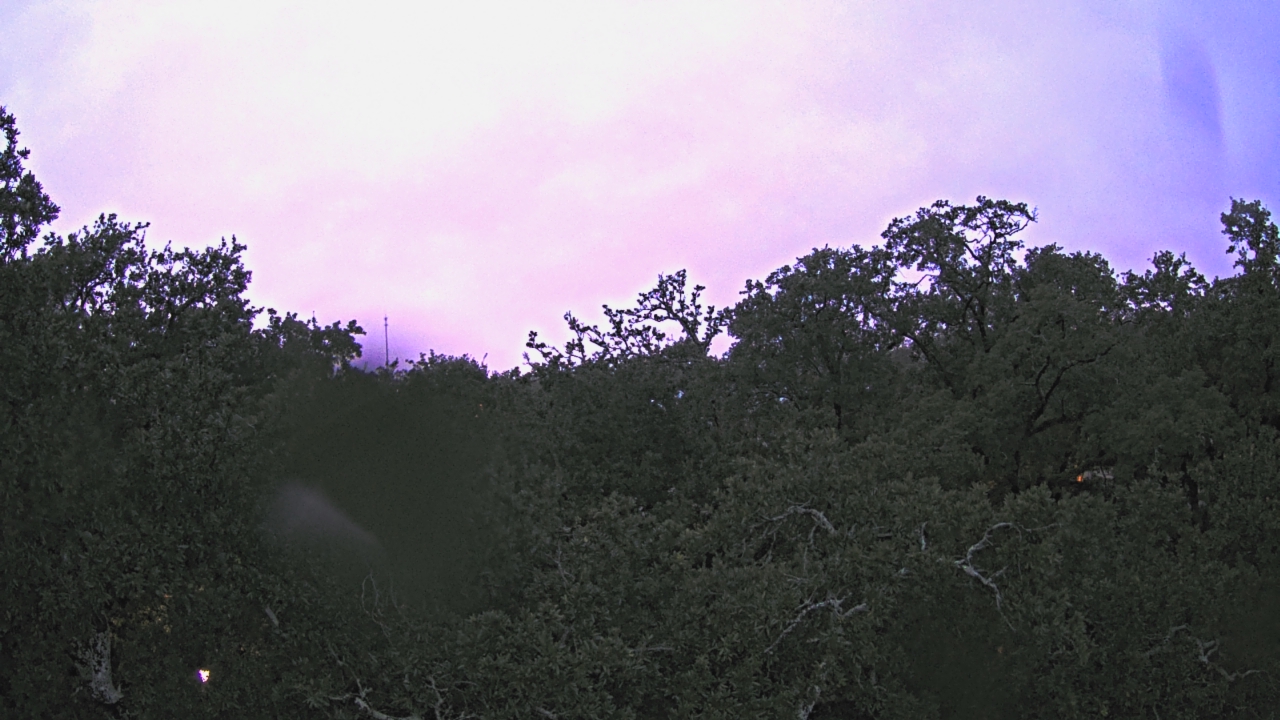 Thumbnail for current weather camera view from Metairie Club Gardens in Metairie, Louisiana