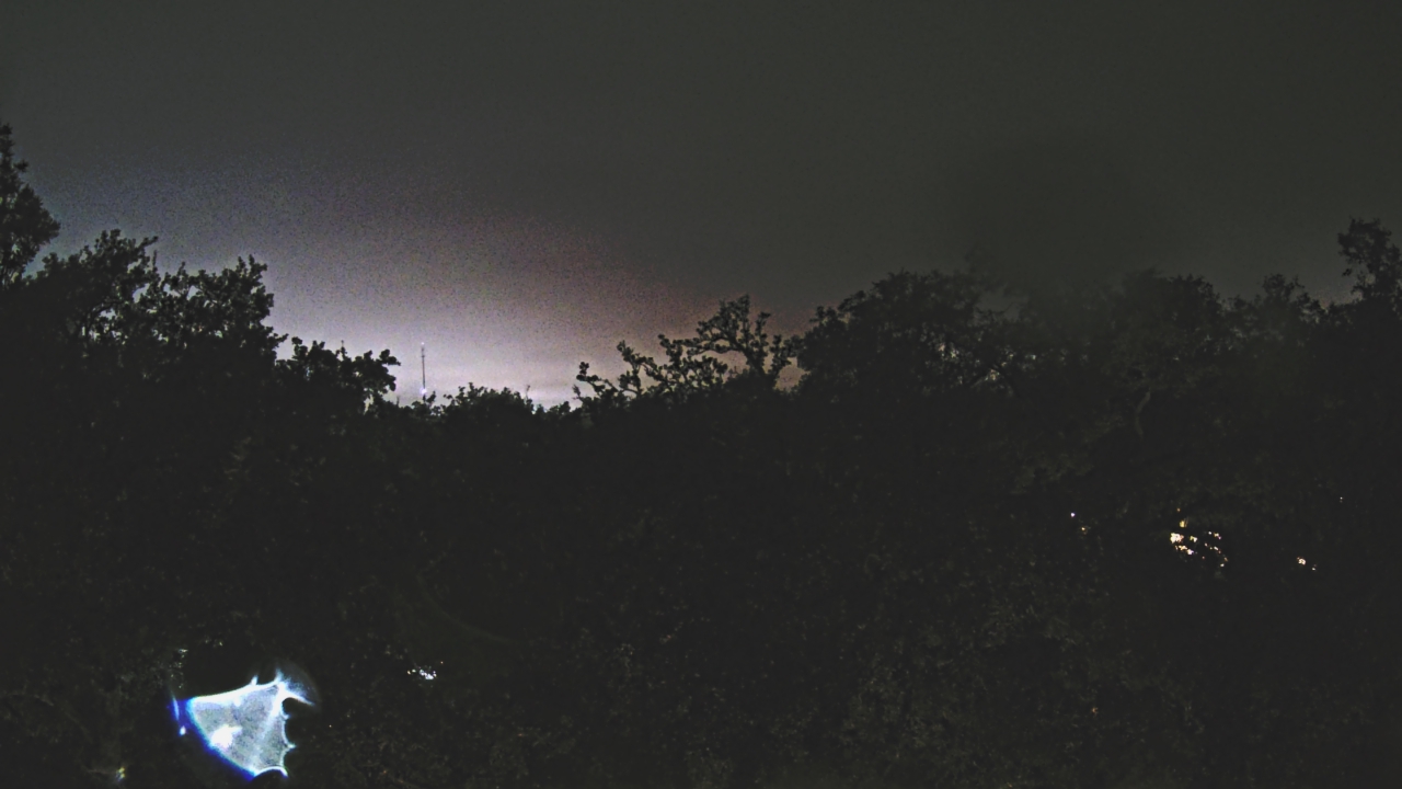 Thumbnail for current weather camera view from Metairie Club Gardens in Metairie, Louisiana