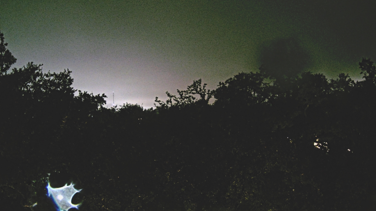 Thumbnail for current weather camera view from Metairie Club Gardens in Metairie, Louisiana