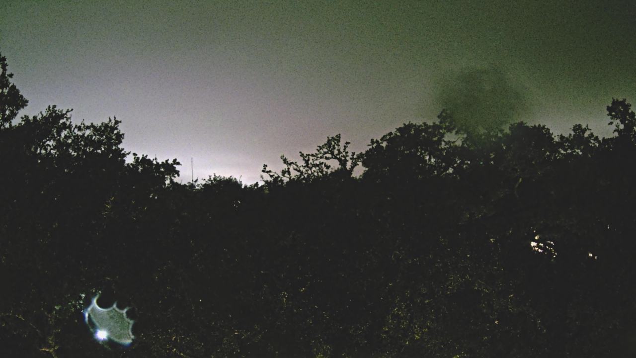 Thumbnail for current weather camera view from Metairie Club Gardens in Metairie, Louisiana