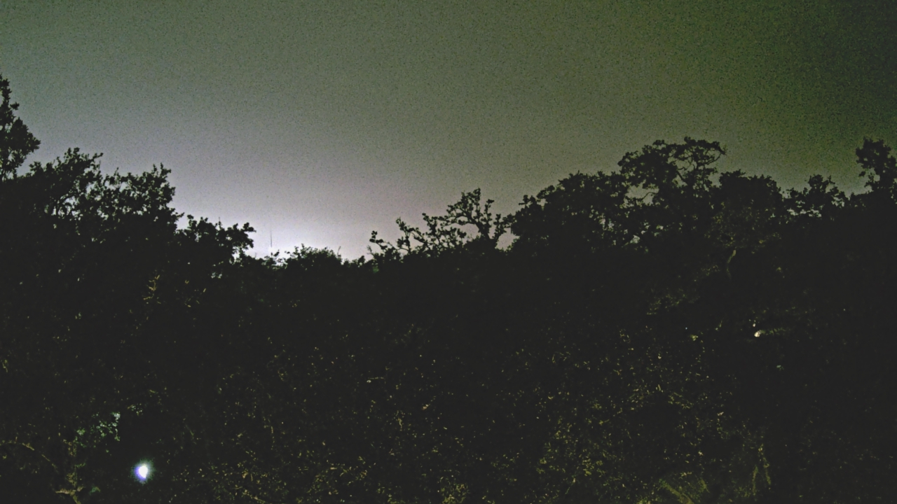 Thumbnail for current weather camera view from Metairie Club Gardens in Metairie, Louisiana