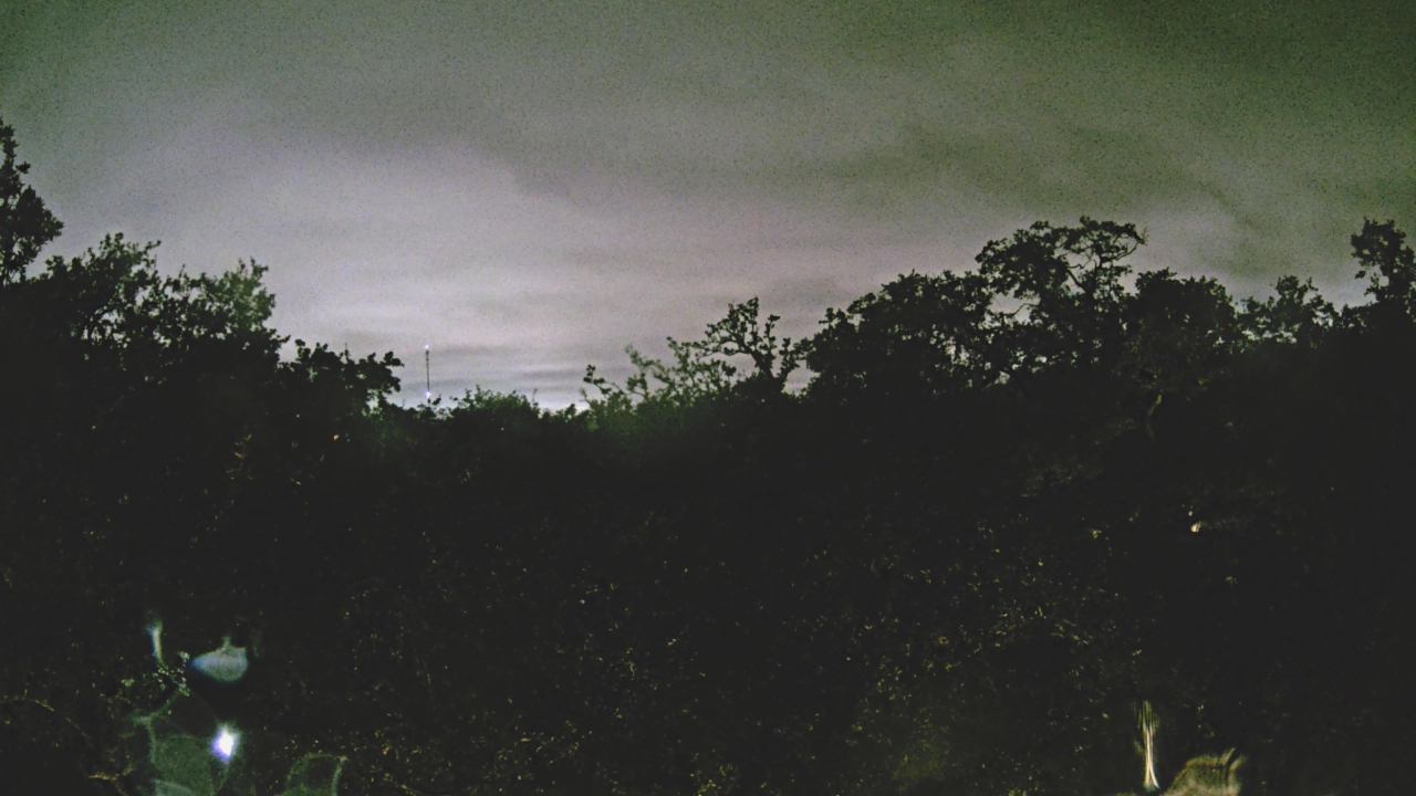 Thumbnail for current weather camera view from Metairie Club Gardens in Metairie, Louisiana