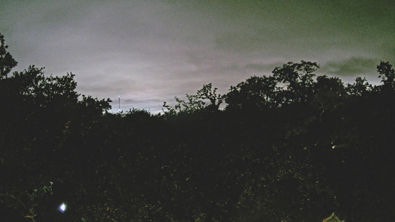 Thumbnail for current weather camera view from Metairie Club Gardens in Metairie, Louisiana