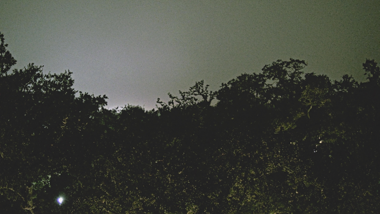 Thumbnail for current weather camera view from Metairie Club Gardens in Metairie, Louisiana