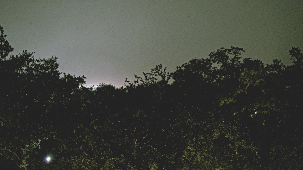 Thumbnail for current weather camera view from Metairie Club Gardens in Metairie, Louisiana