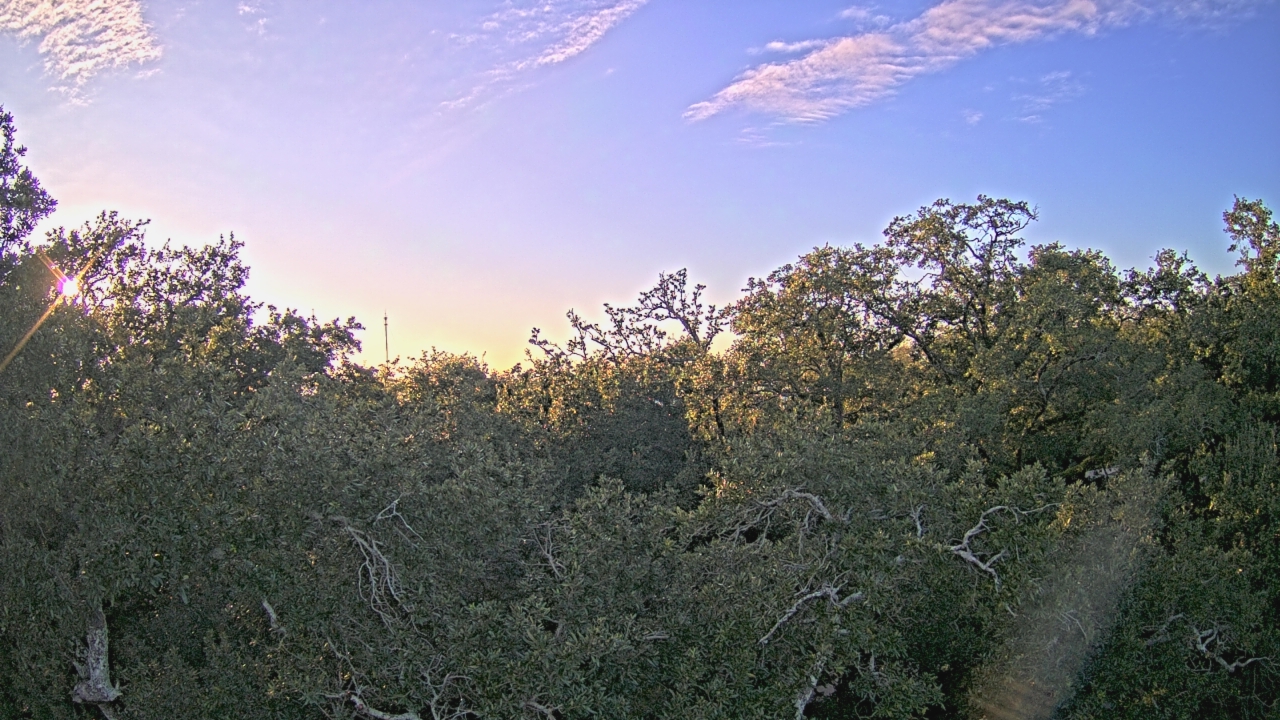 Thumbnail for current weather camera view from Metairie Club Gardens in Metairie, Louisiana