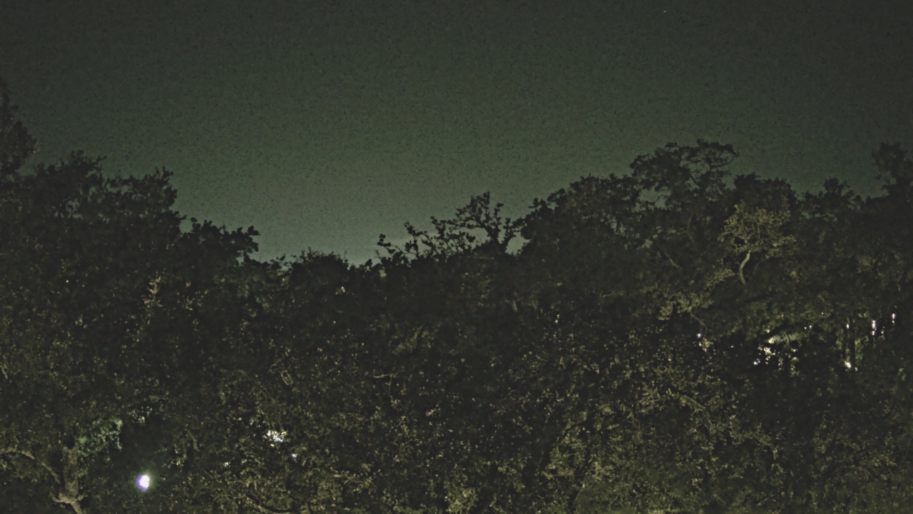 Thumbnail for current weather camera view from Metairie Club Gardens in Metairie, Louisiana