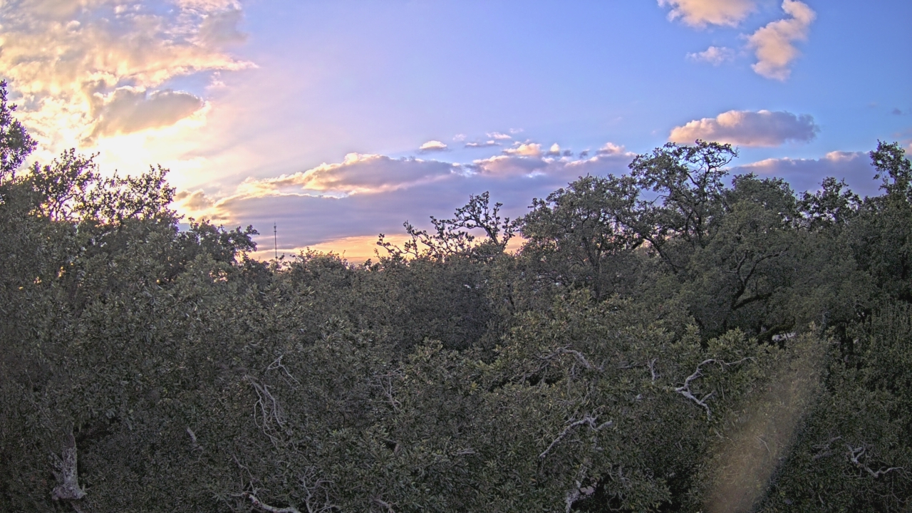 Thumbnail for current weather camera view from Metairie Club Gardens in Metairie, Louisiana