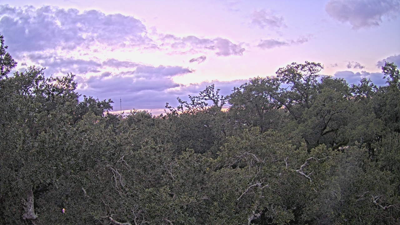 Thumbnail for current weather camera view from Metairie Club Gardens in Metairie, Louisiana