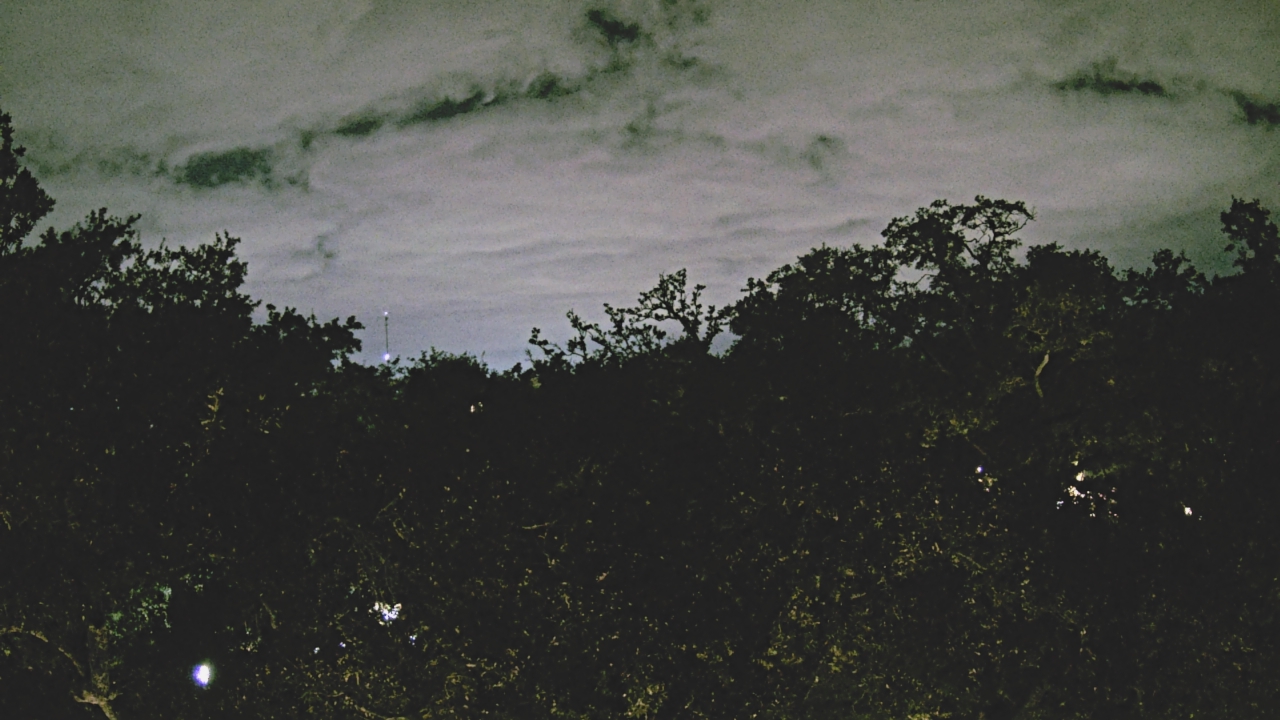 Thumbnail for current weather camera view from Metairie Club Gardens in Metairie, Louisiana