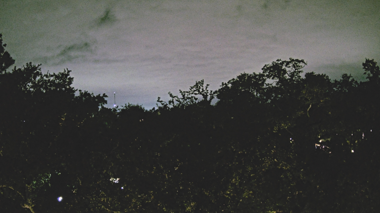 Thumbnail for current weather camera view from Metairie Club Gardens in Metairie, Louisiana