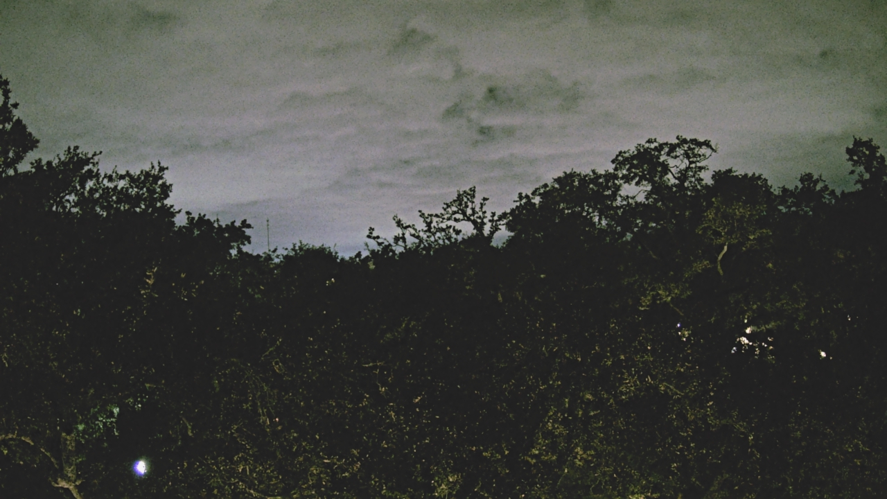 Thumbnail for current weather camera view from Metairie Club Gardens in Metairie, Louisiana