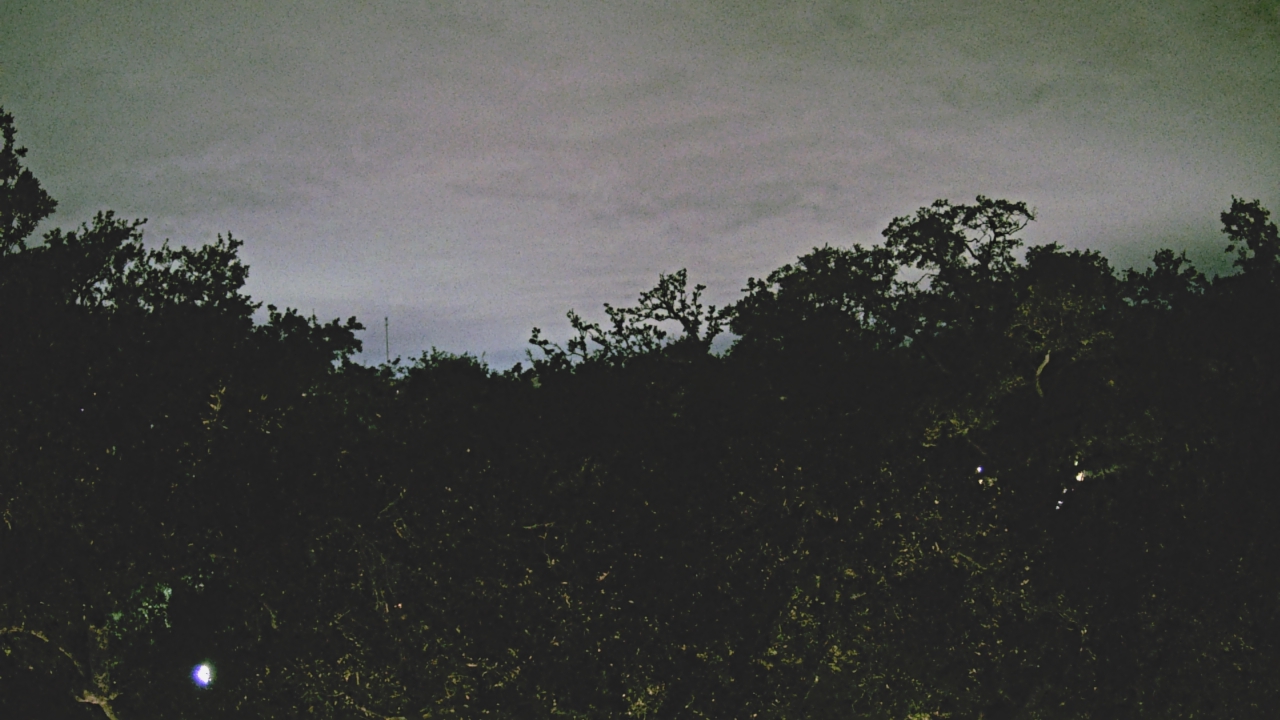 Thumbnail for current weather camera view from Metairie Club Gardens in Metairie, Louisiana