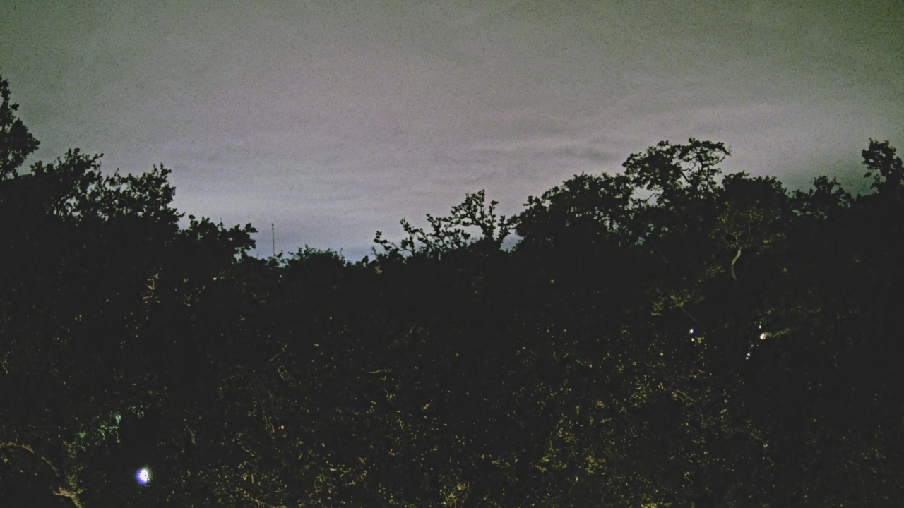 Thumbnail for current weather camera view from Metairie Club Gardens in Metairie, Louisiana