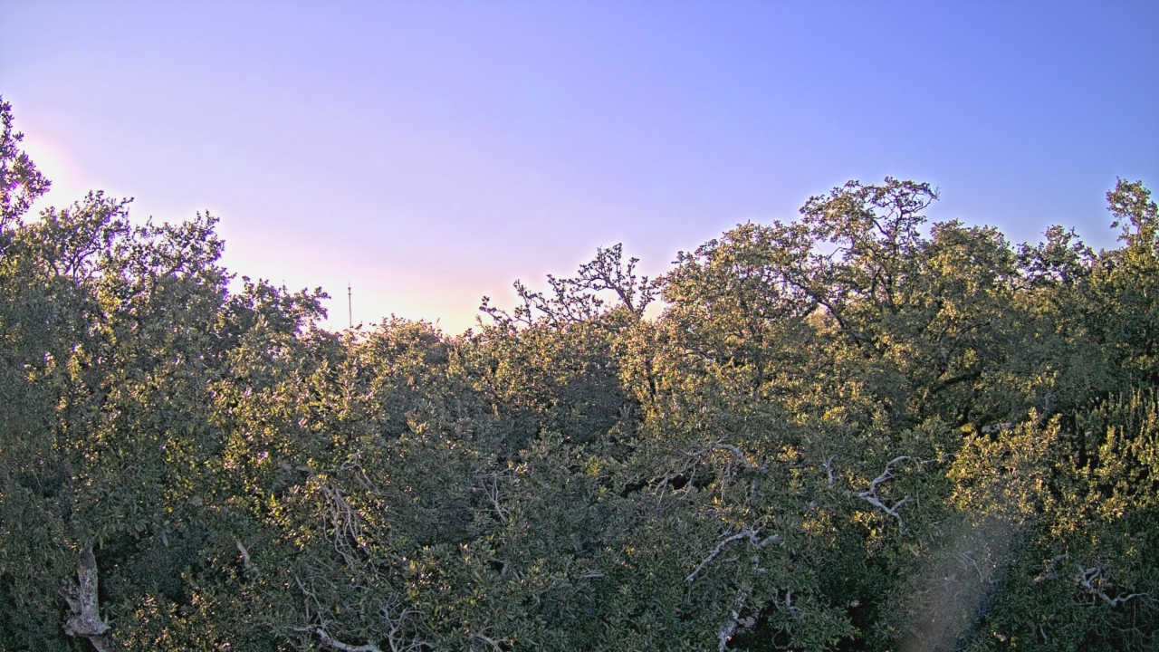 Thumbnail for current weather camera view from Metairie Club Gardens in Metairie, Louisiana