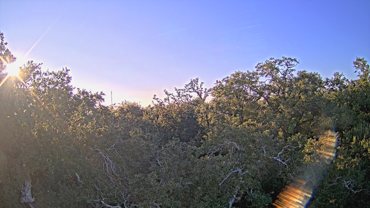 Thumbnail for current weather camera view from Metairie Club Gardens in Metairie, Louisiana