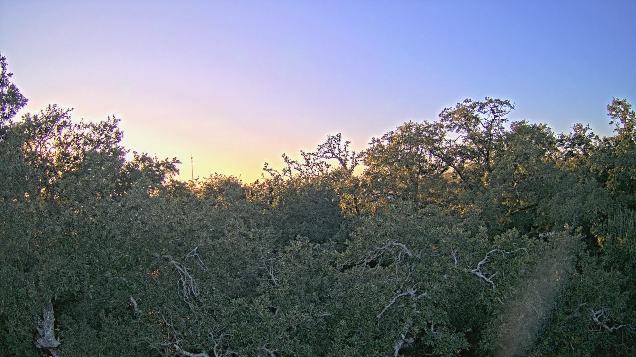 Thumbnail for current weather camera view from Metairie Club Gardens in Metairie, Louisiana