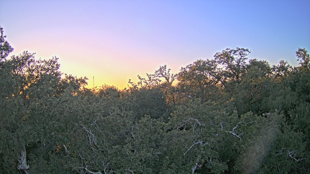 Thumbnail for current weather camera view from Metairie Club Gardens in Metairie, Louisiana