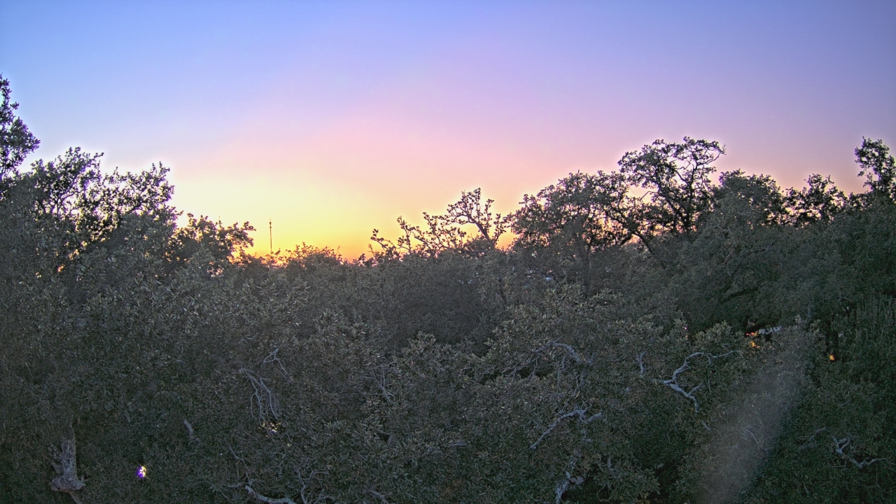 Thumbnail for current weather camera view from Metairie Club Gardens in Metairie, Louisiana