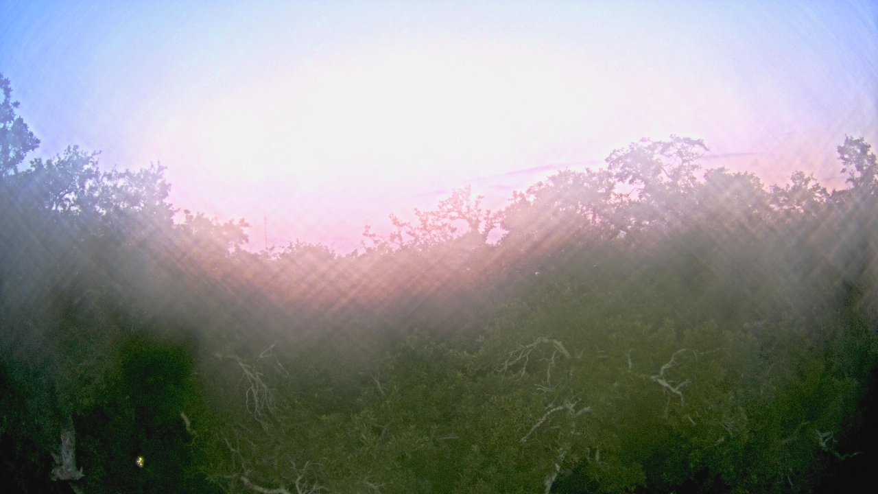 Thumbnail for current weather camera view from Metairie Club Gardens in Metairie, Louisiana