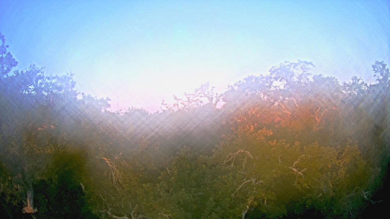 Thumbnail for current weather camera view from Metairie Club Gardens in Metairie, Louisiana