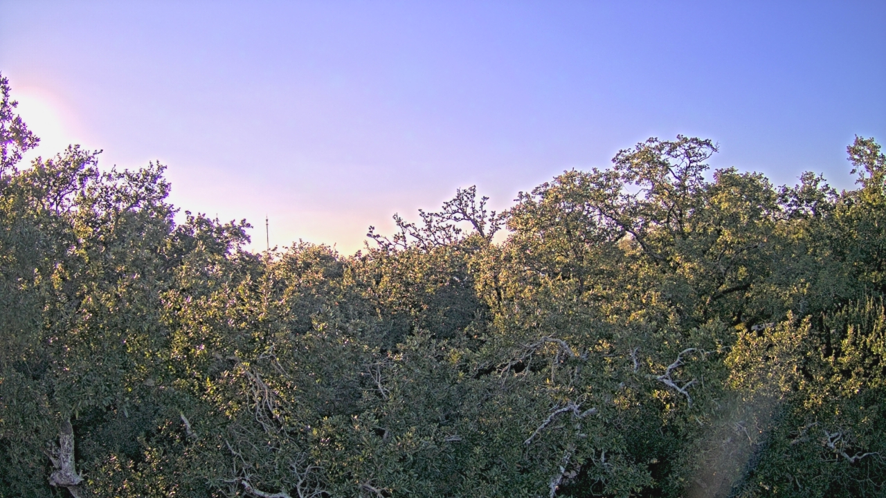 Thumbnail for current weather camera view from Metairie Club Gardens in Metairie, Louisiana