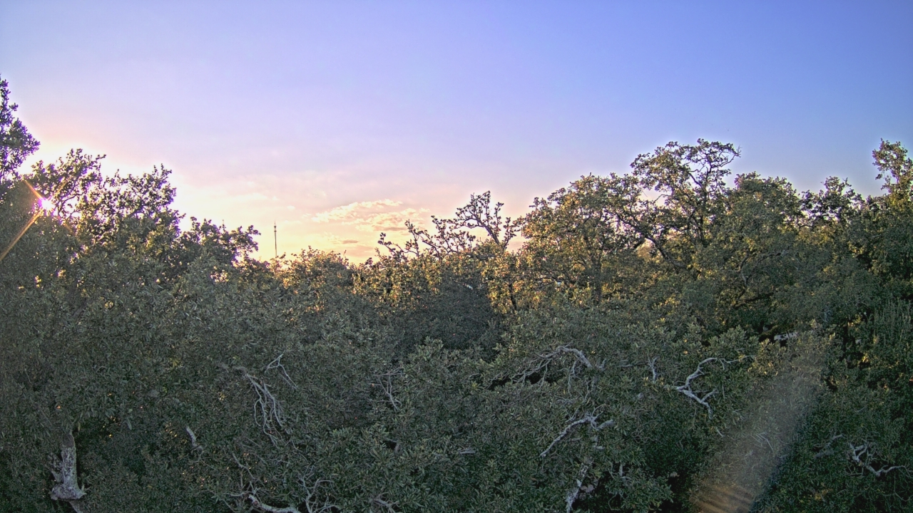 Thumbnail for current weather camera view from Metairie Club Gardens in Metairie, Louisiana