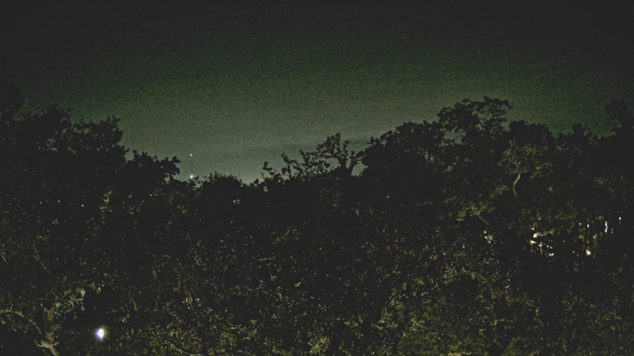 Thumbnail for current weather camera view from Metairie Club Gardens in Metairie, Louisiana