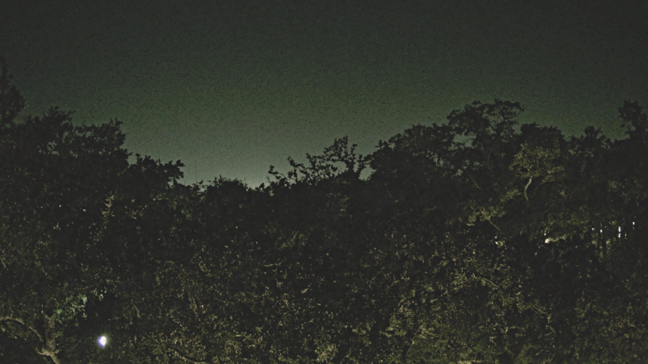 Thumbnail for current weather camera view from Metairie Club Gardens in Metairie, Louisiana