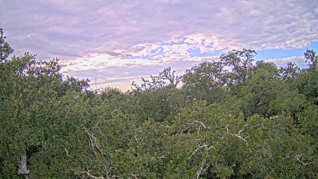 Thumbnail for current weather camera view from Metairie Club Gardens in Metairie, Louisiana