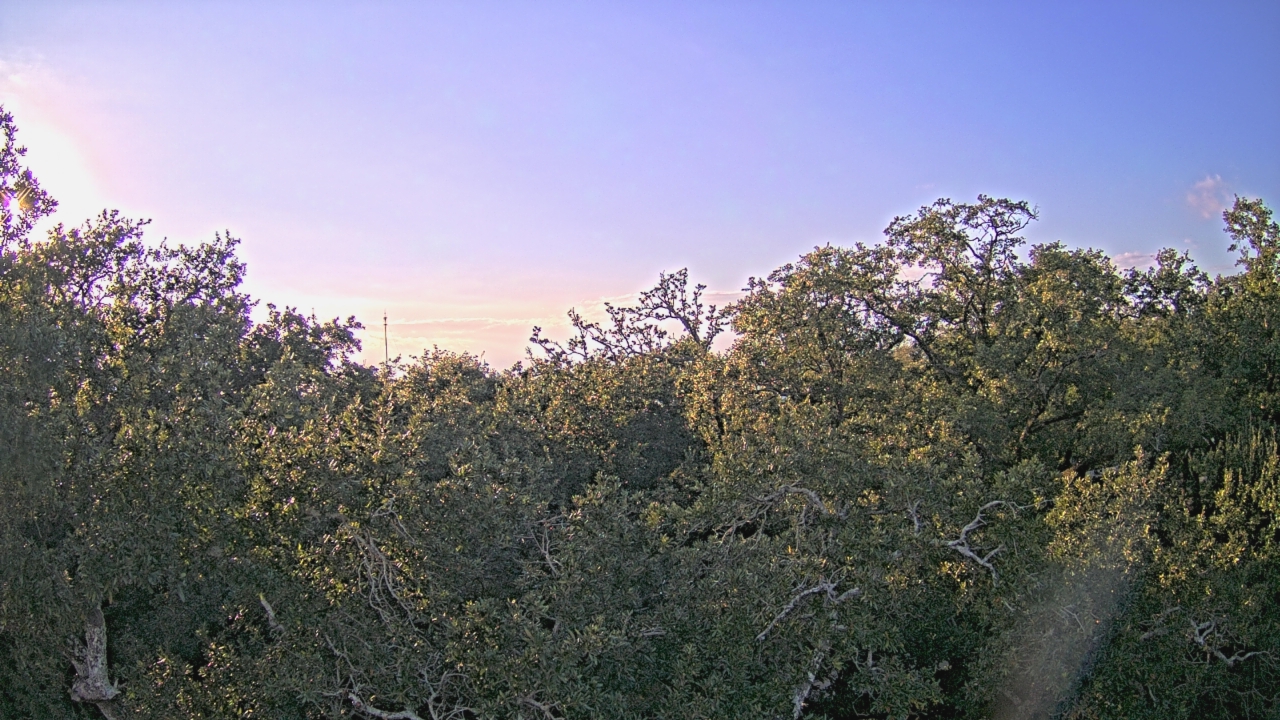 Thumbnail for current weather camera view from Metairie Club Gardens in Metairie, Louisiana