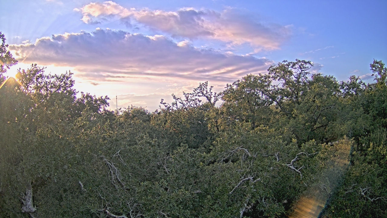 Thumbnail for current weather camera view from Metairie Club Gardens in Metairie, Louisiana