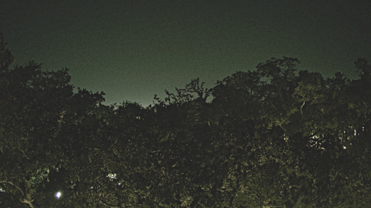 Thumbnail for current weather camera view from Metairie Club Gardens in Metairie, Louisiana