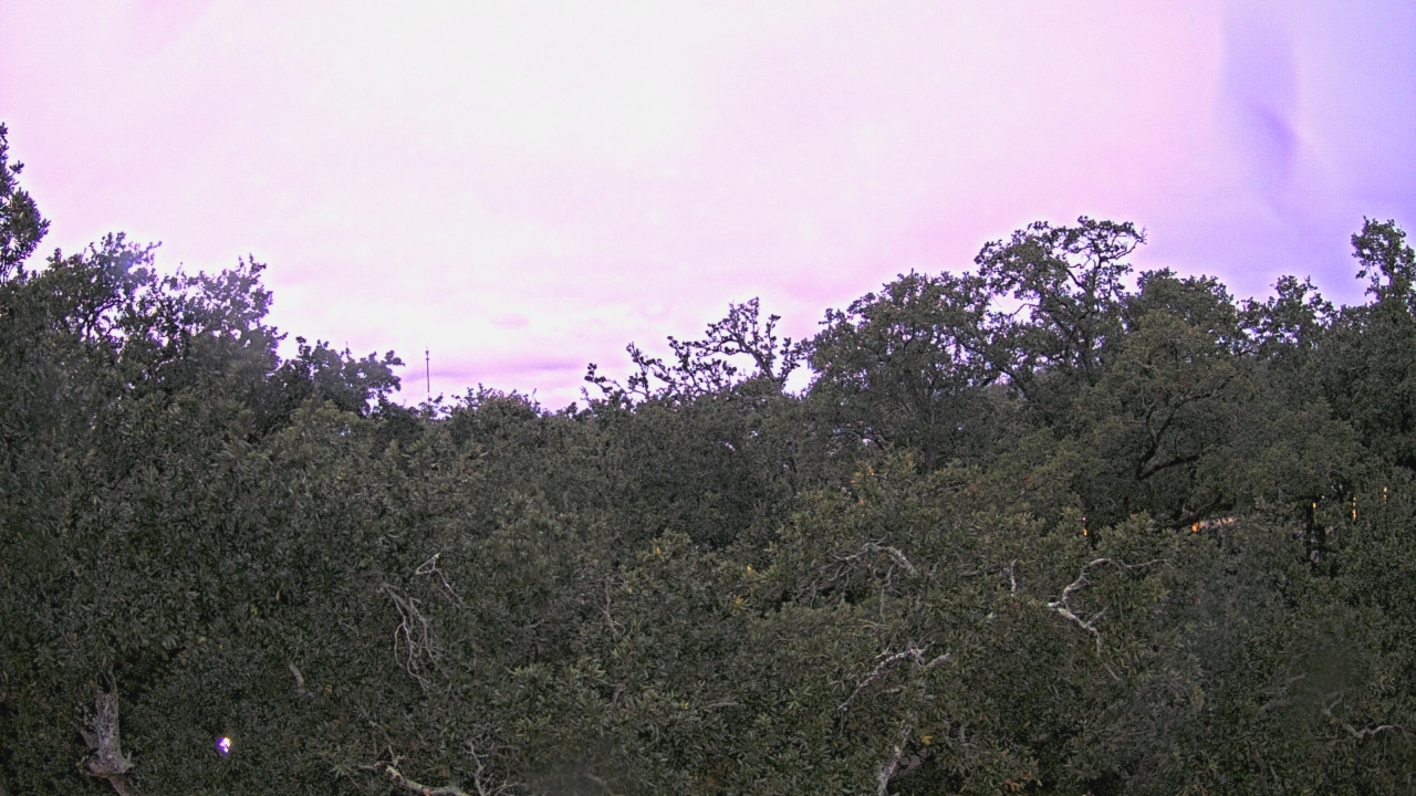 Thumbnail for current weather camera view from Metairie Club Gardens in Metairie, Louisiana