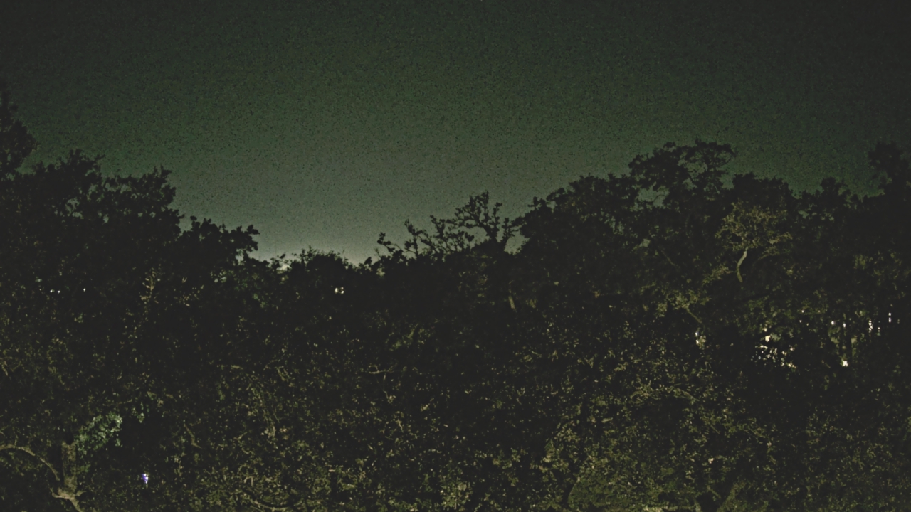 Thumbnail for current weather camera view from Metairie Club Gardens in Metairie, Louisiana