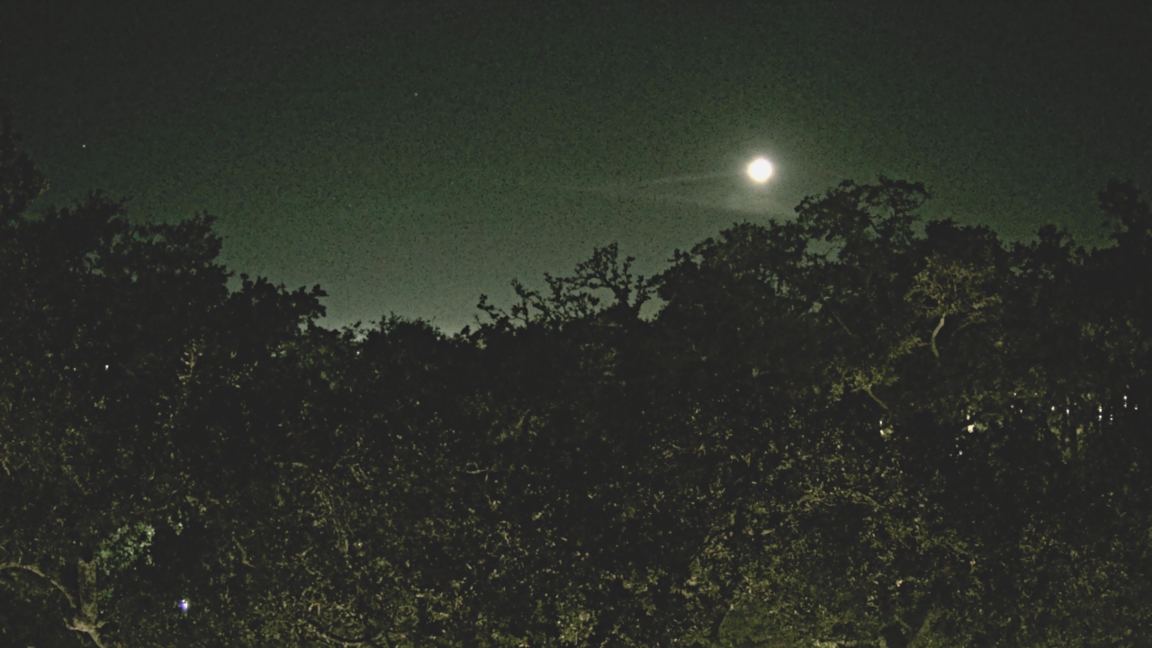 Thumbnail for current weather camera view from Metairie Club Gardens in Metairie, Louisiana