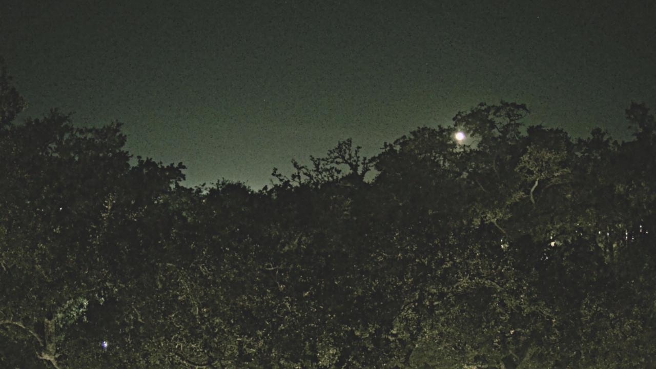 Thumbnail for current weather camera view from Metairie Club Gardens in Metairie, Louisiana