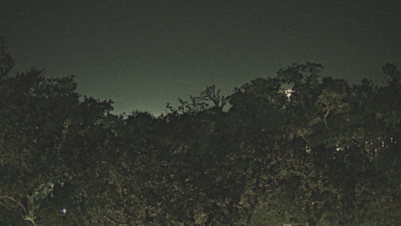 Thumbnail for current weather camera view from Metairie Club Gardens in Metairie, Louisiana