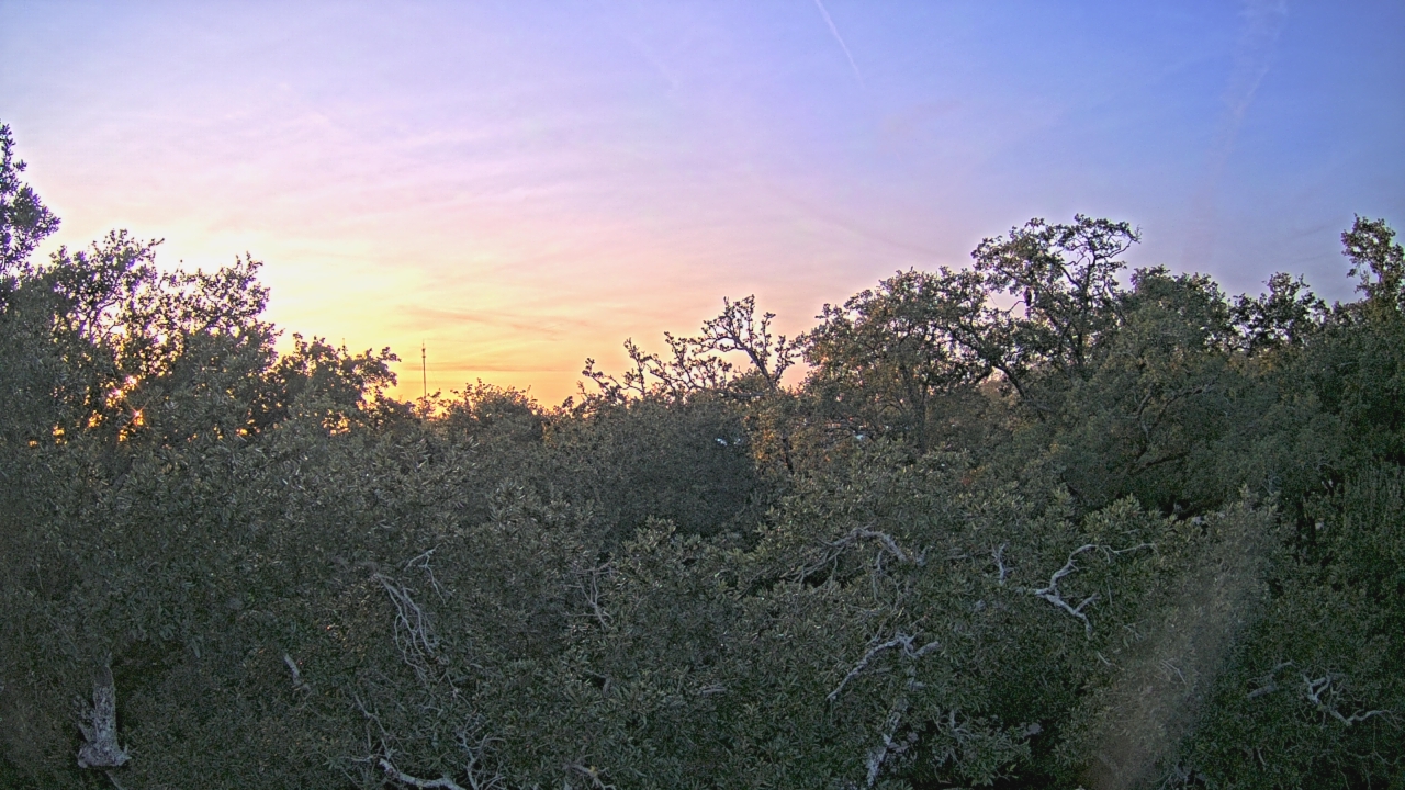 Thumbnail for current weather camera view from Metairie Club Gardens in Metairie, Louisiana