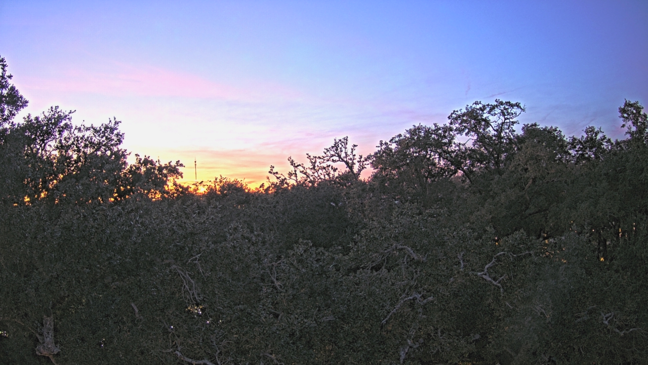 Thumbnail for current weather camera view from Metairie Club Gardens in Metairie, Louisiana